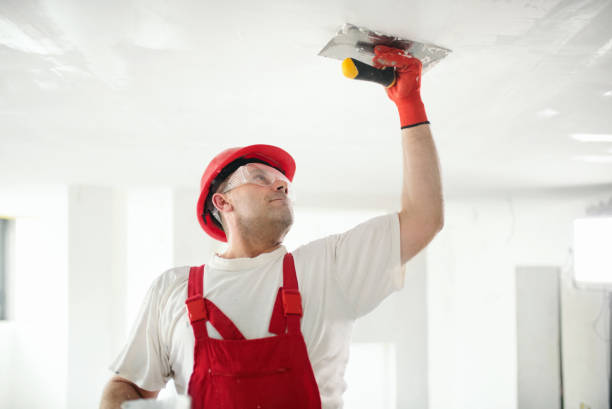 Best Fire-Damaged Drywall Repair  in Alba, NY