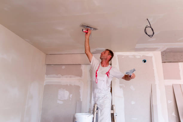 Best Drywall Installation  in Alba, NY